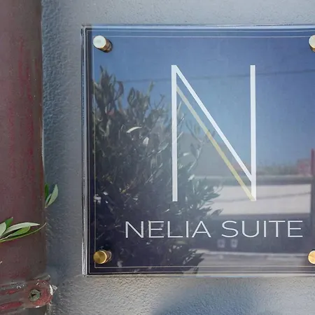 Nelia Apartment *